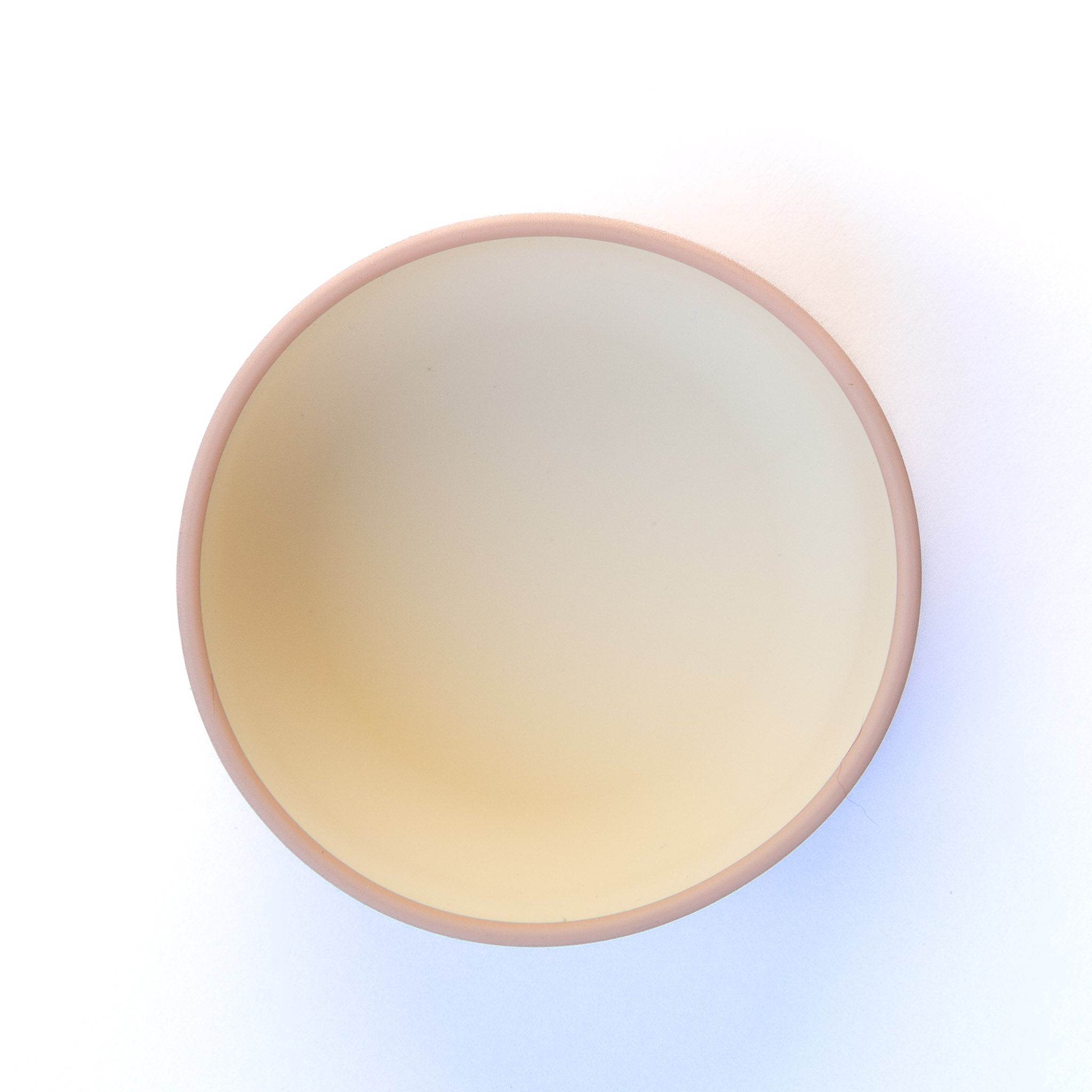 Two-Tone Silicone Baby Bowl