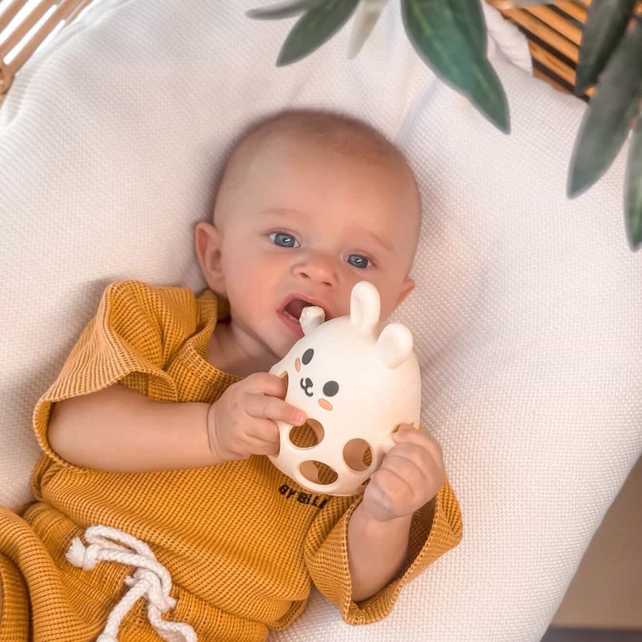 Theo the Bunny Silicone Teether Toy