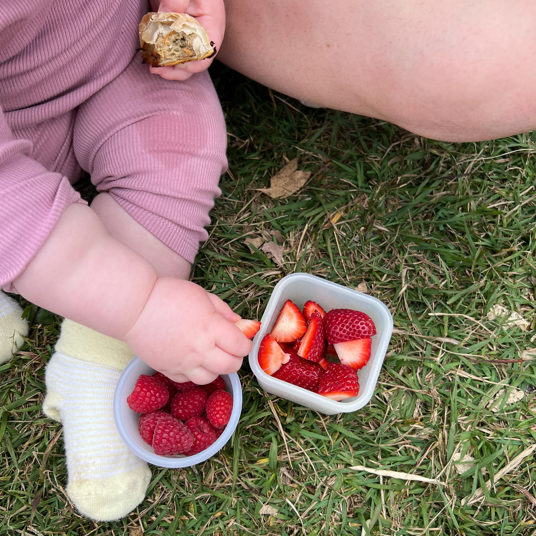 Toddler Foodie Bundle - Rose