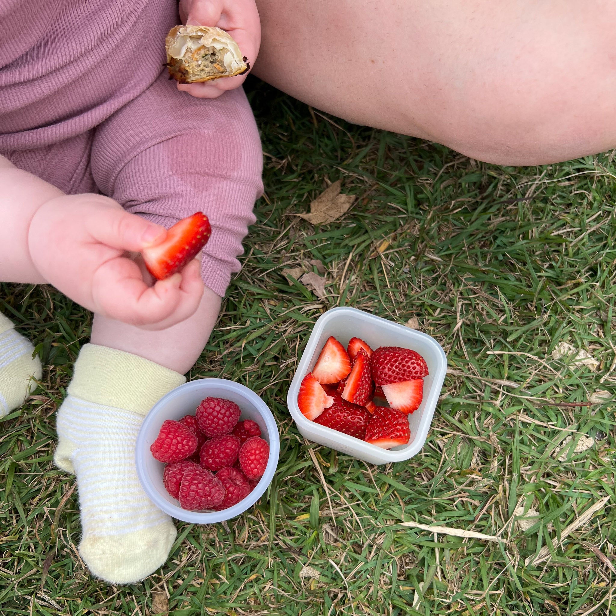 Silicone Snack Container - Square