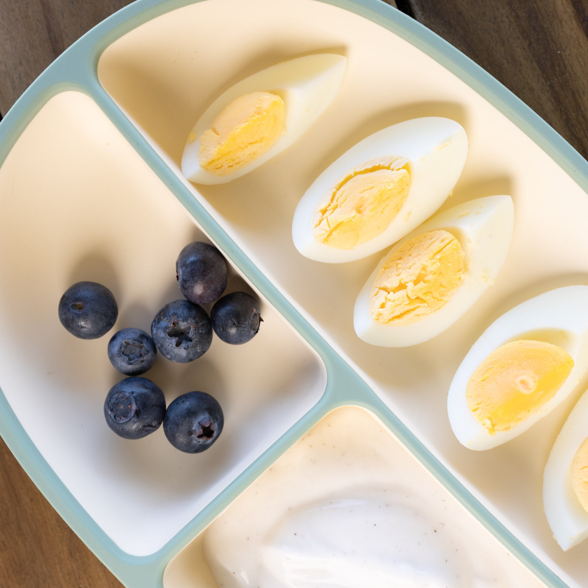 Two-Tone Silicone Suction Plate