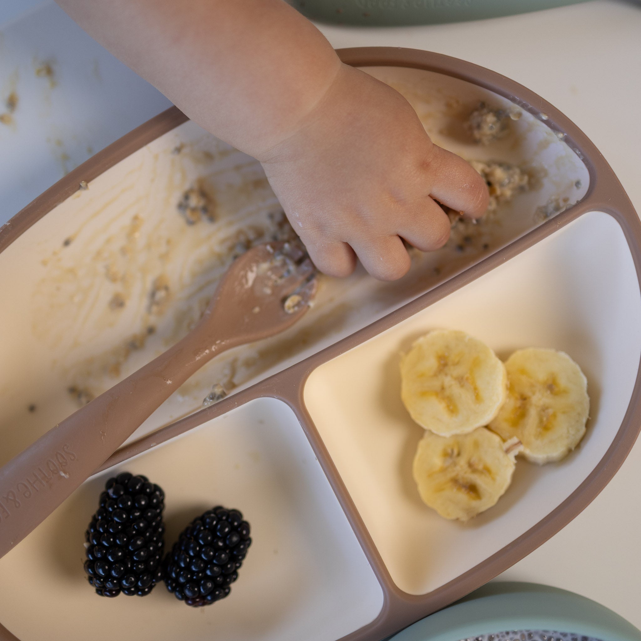 Two-Tone Silicone Suction Plate