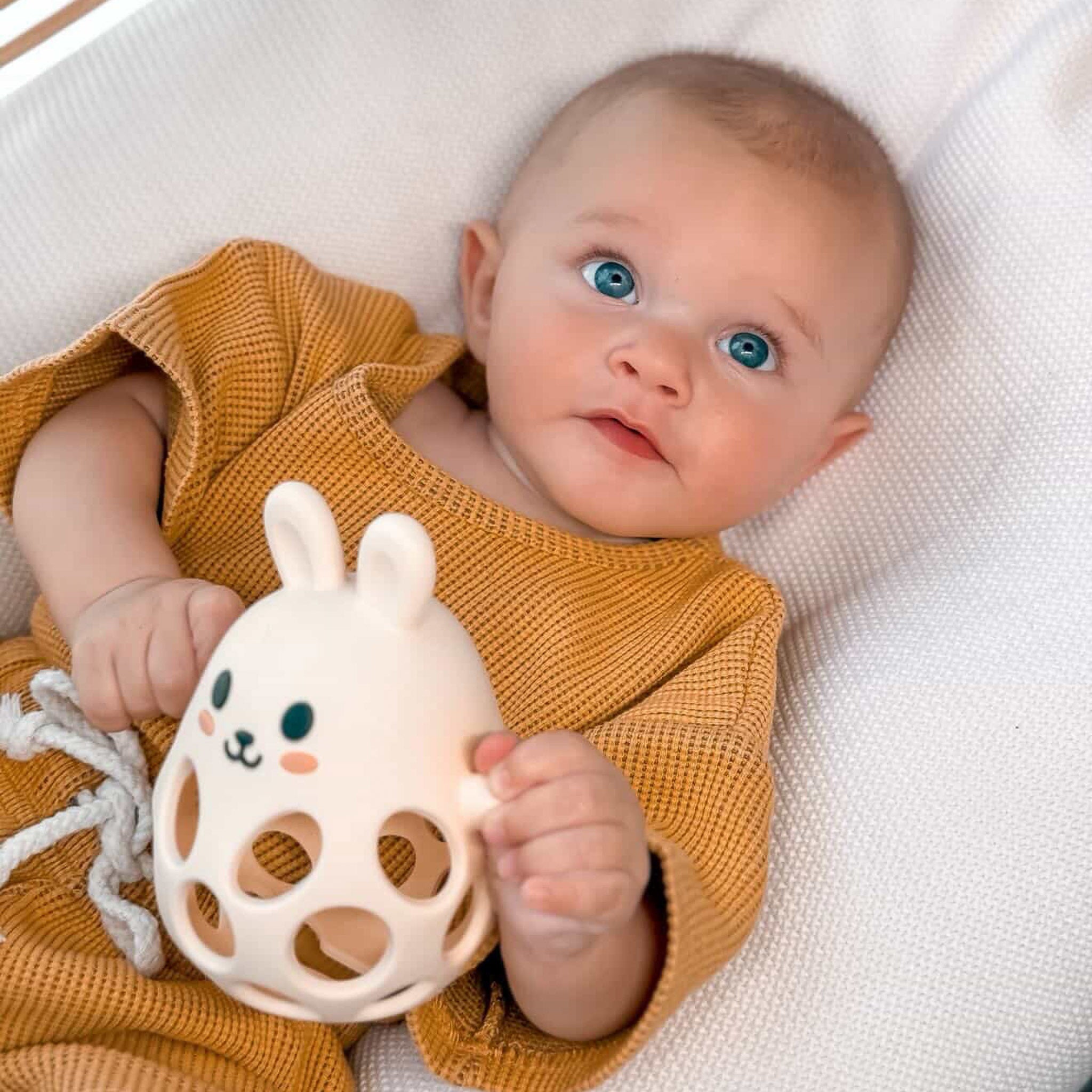 Theo the Bunny Silicone Teether Toy
