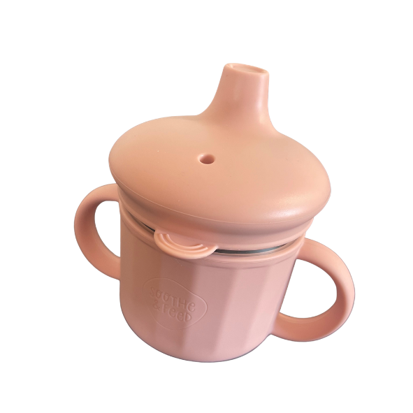 Stainless Steel Sippy Cup with Lid